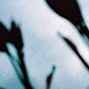 衣女裸体男Japanse
