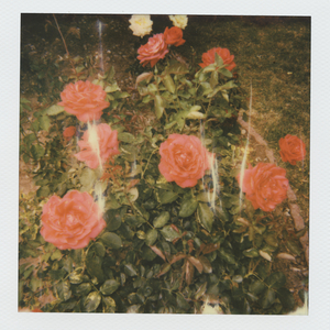 衣女裸体男Japanse
